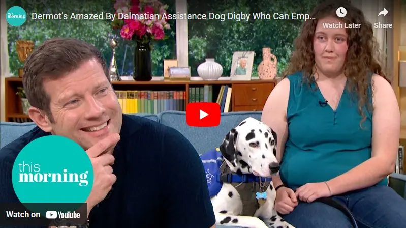 Meet Digby: The Dalmatian Defying Assistance Dog Norms