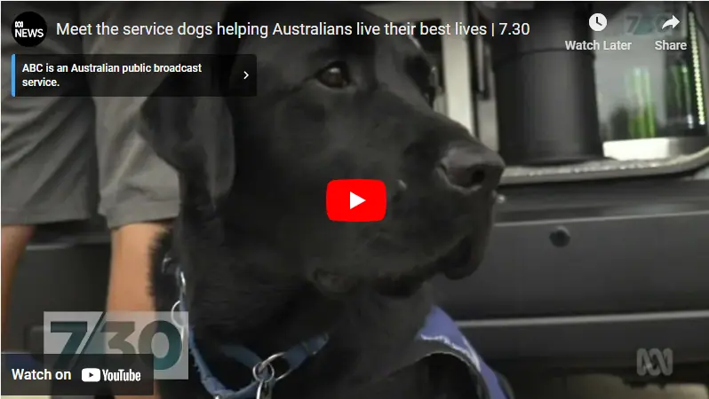 A Tail of Hope: Service Dogs Supporting Australians