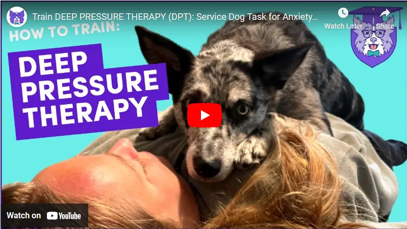 How to Train Your Dog in Deep Pressure Therapy: Expert Tips