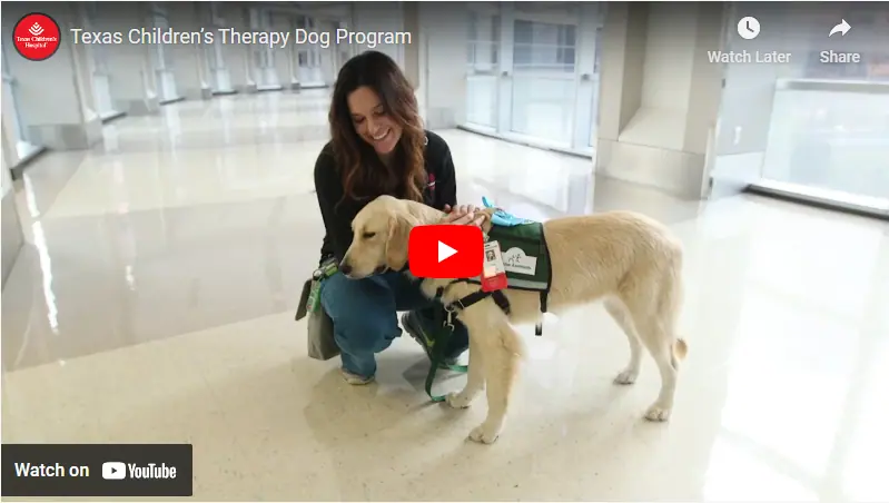 Paws and Comfort: How Elsa Helps Heal at Texas Children’s Hospital